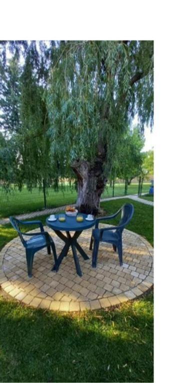 Logement Lumineux, Entierement Renove Avec Jardin Caumont-sur-Durance Eksteriør billede